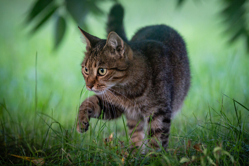 Photograph by BESPAMIATNYI Dmitry