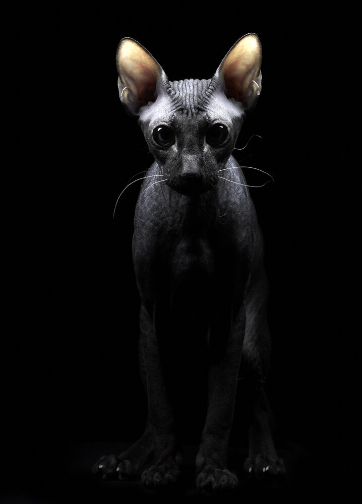 Photograph by Игорь Сахаров