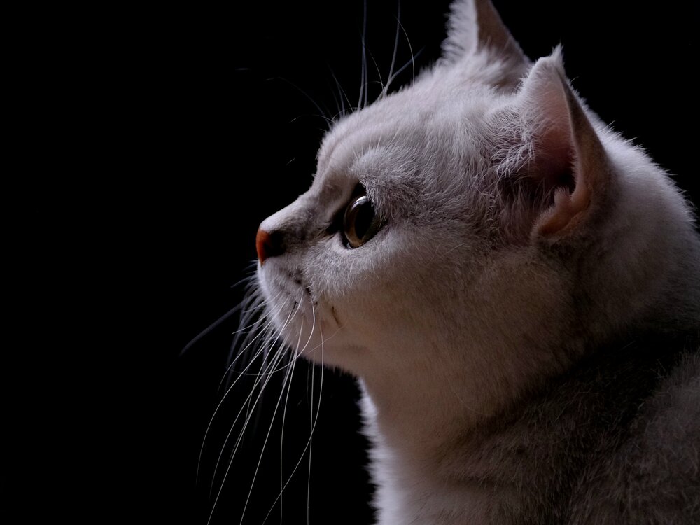 Photograph by Яна Истоцкая