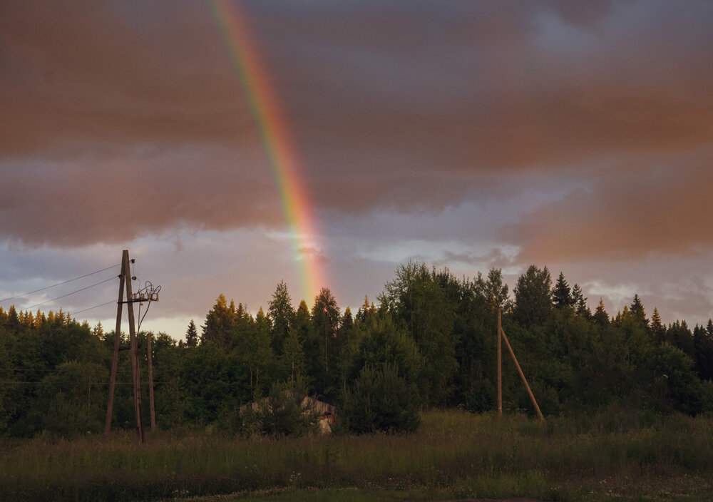 Фотография автора Вера Петри