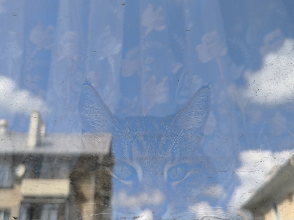 Photograph by Киселева Александра