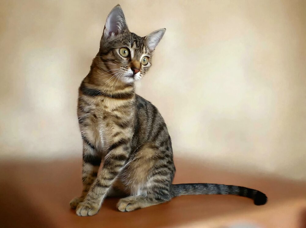 Photograph by Елена Василева