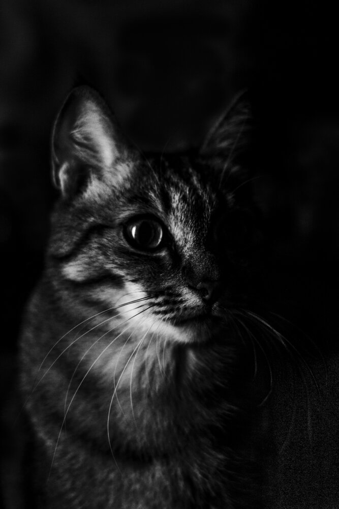 Фотография автора Марина Баришполь