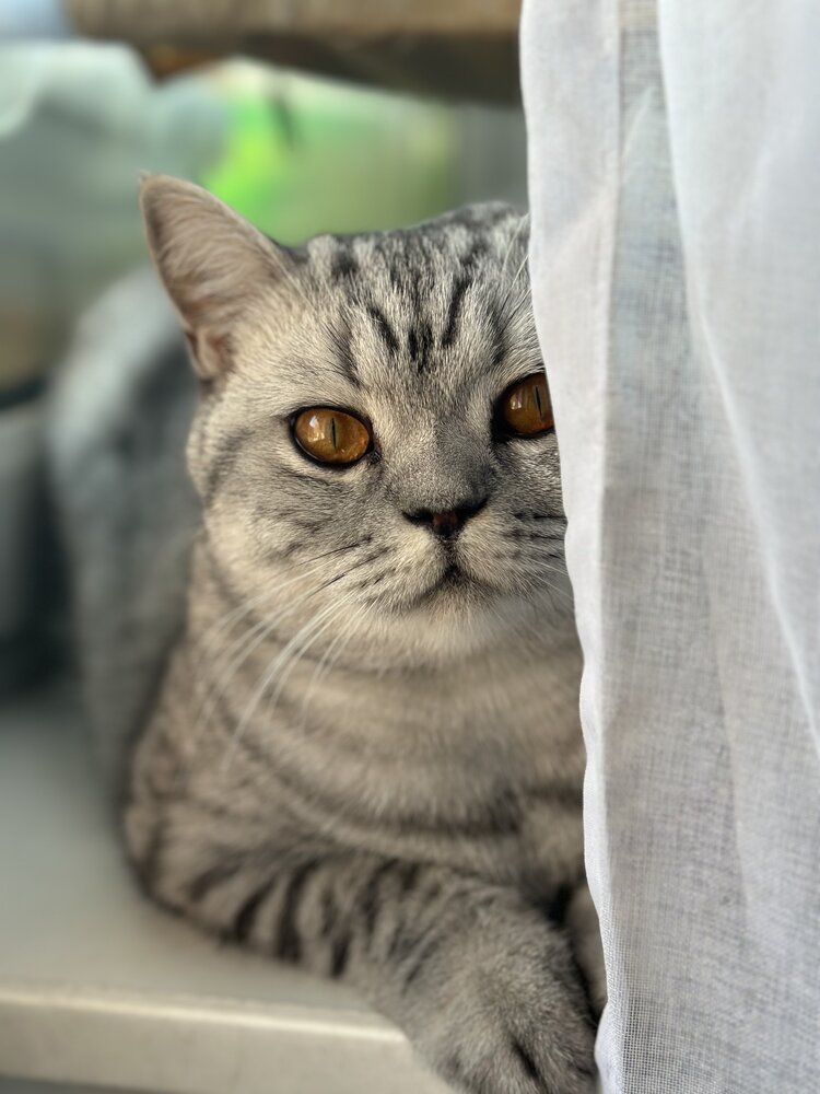 Photograph by Кристина Барахоева