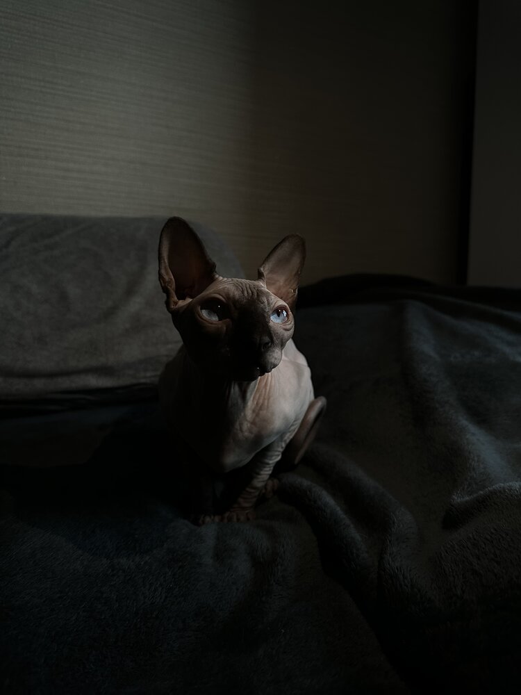 Photograph by Кристина Барахоева