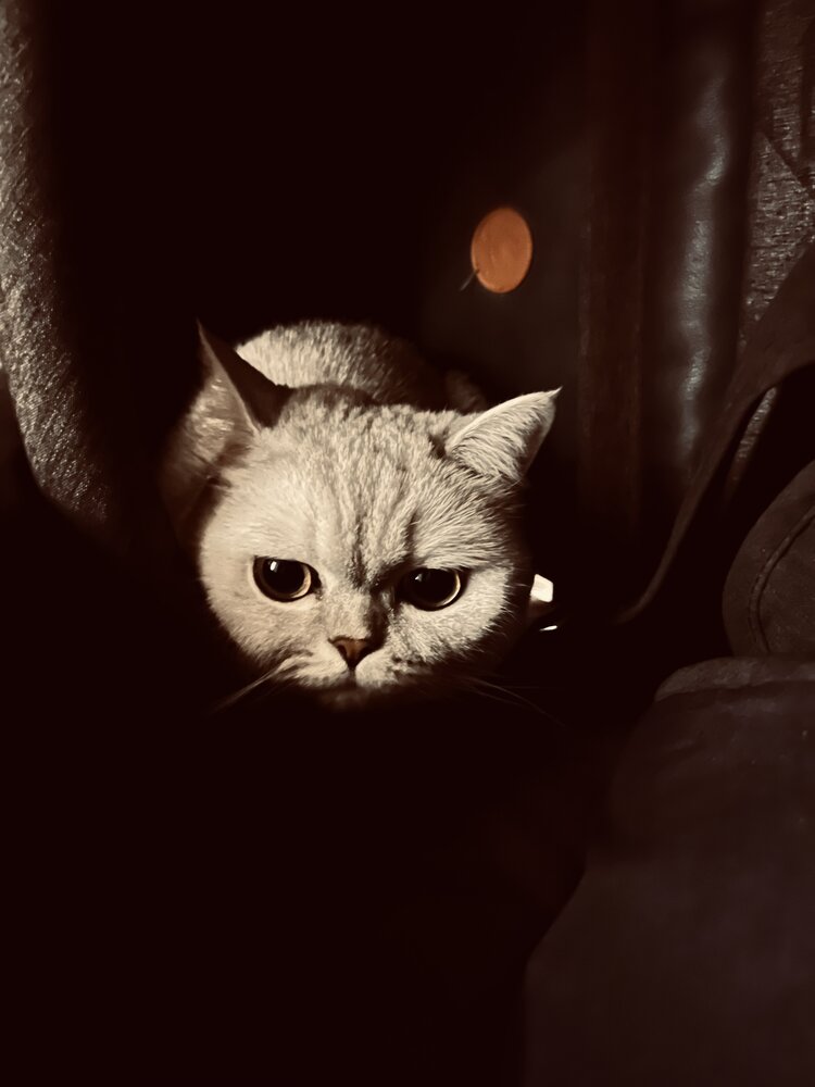 Photograph by Дмитрий Волков