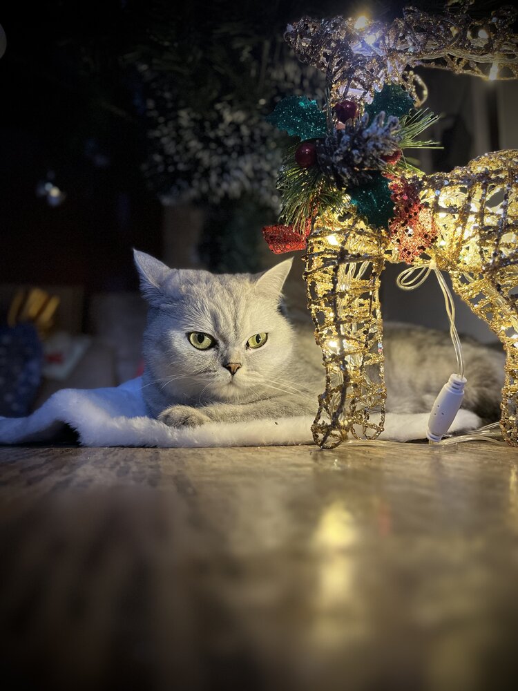 Photograph by Дмитрий Волков