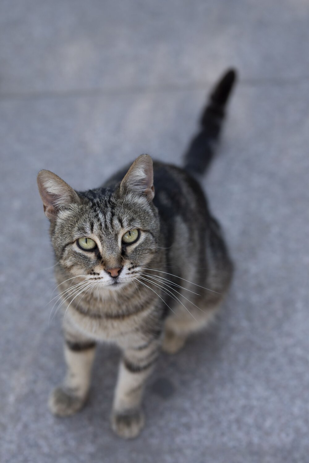 Photo #14034664