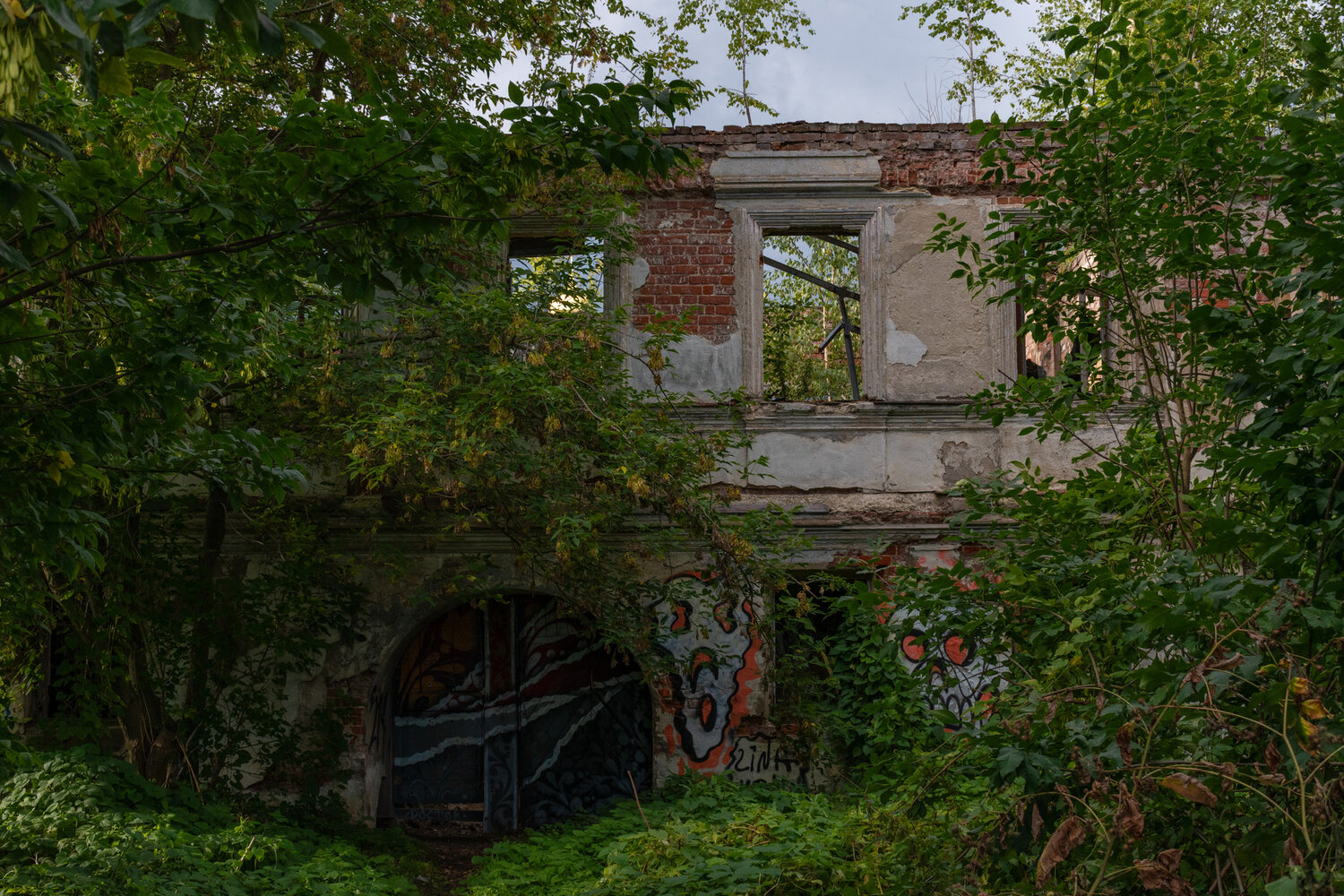 Photo #14034671