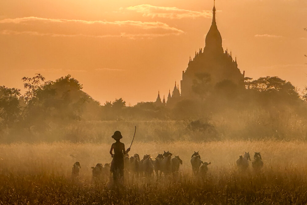 The young shepherd, Bagan, Myanmar