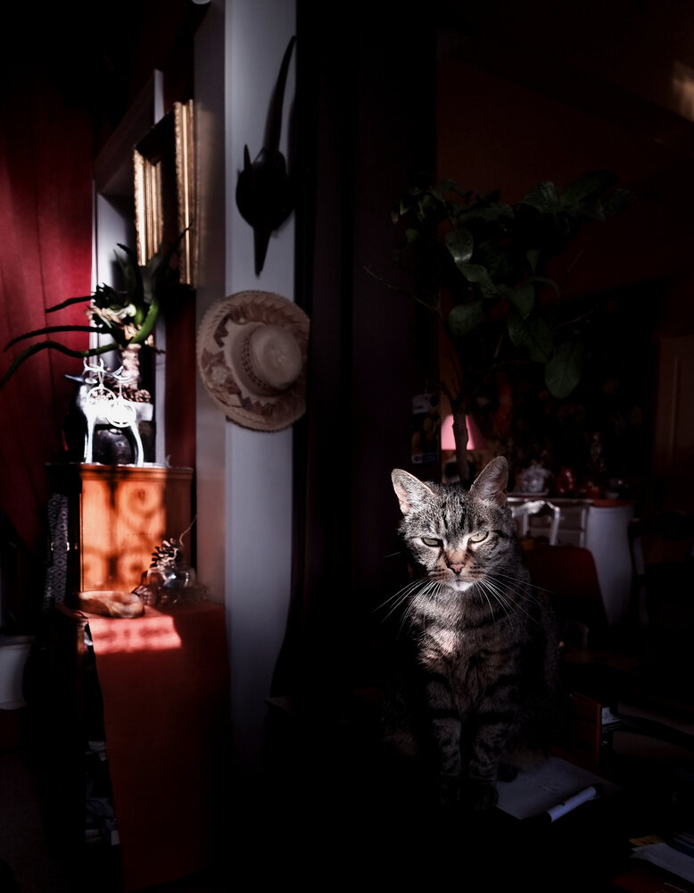 Photo #14034676