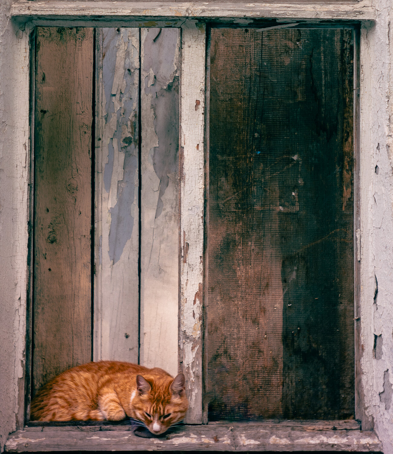 Photo #14034683