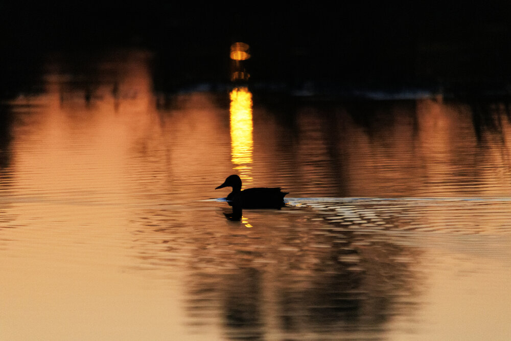 Photograph by Сергей Дудаков