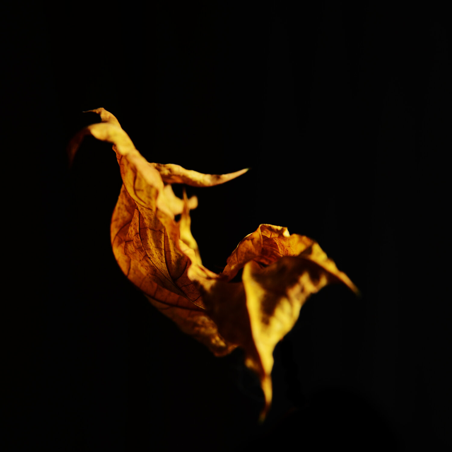 Photo #14034698