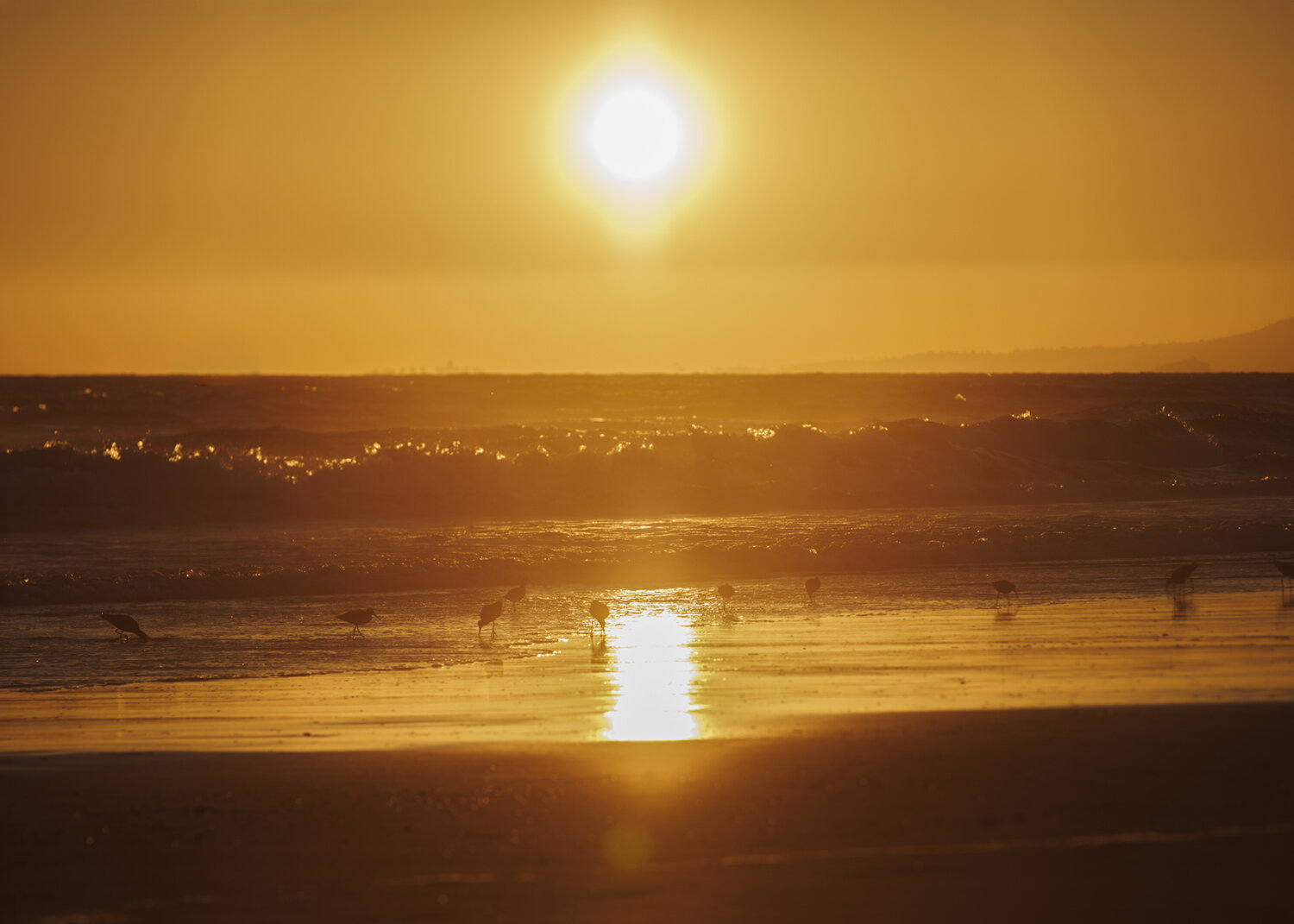 Photo #14034730