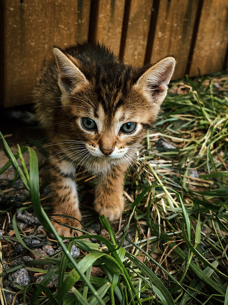 Photograph by Лолита Богачева
