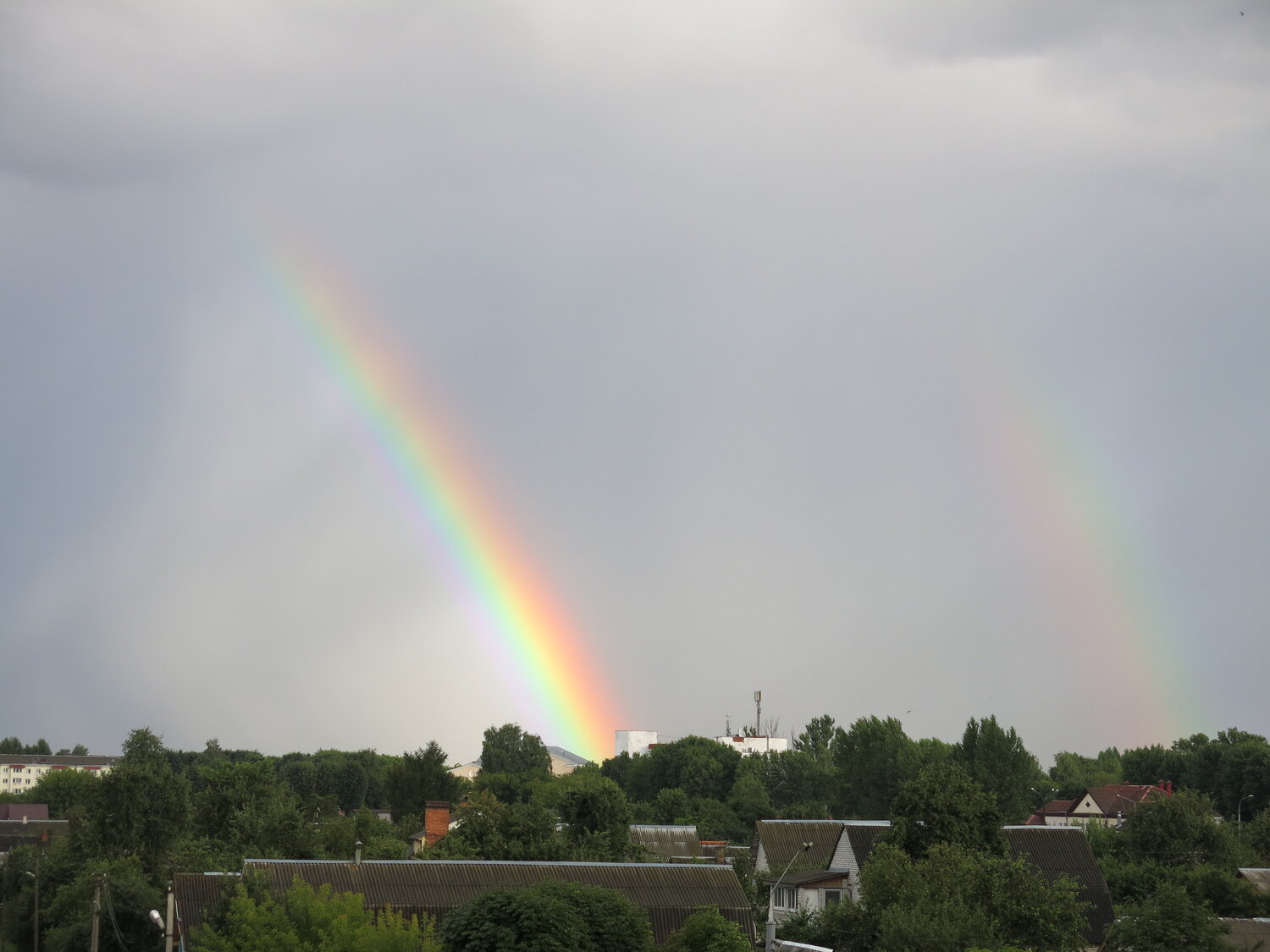 Photo #14034747