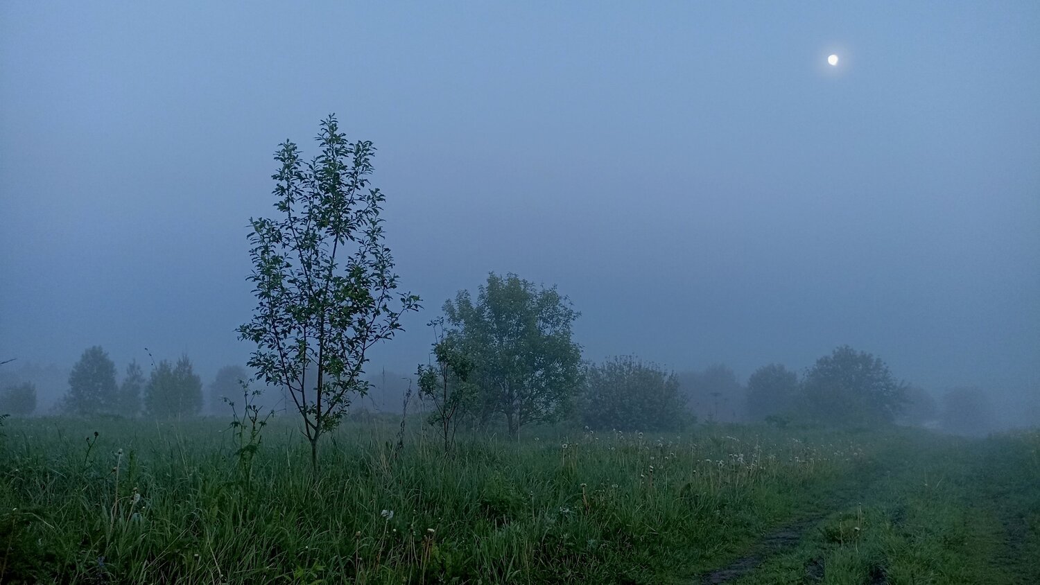 Photo #14034809