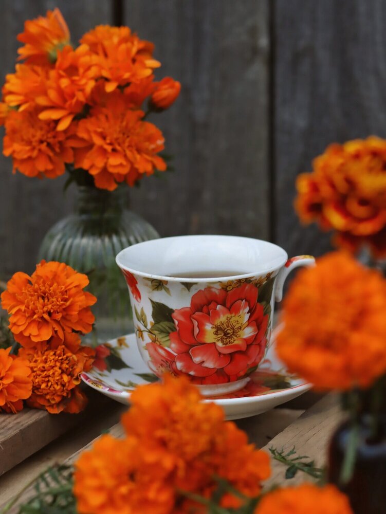 Photograph by Екатерина Зязина