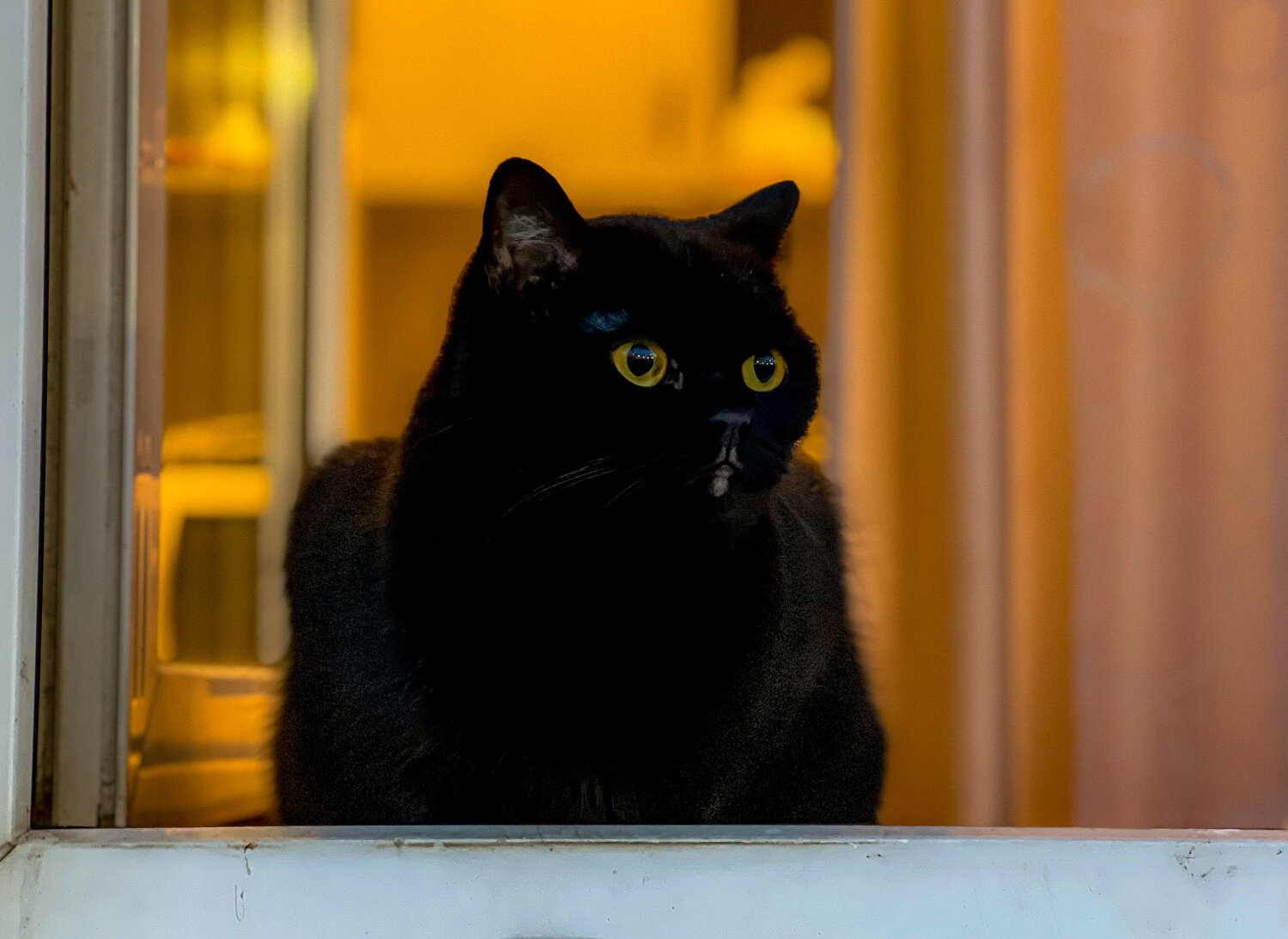 Photo #14034888