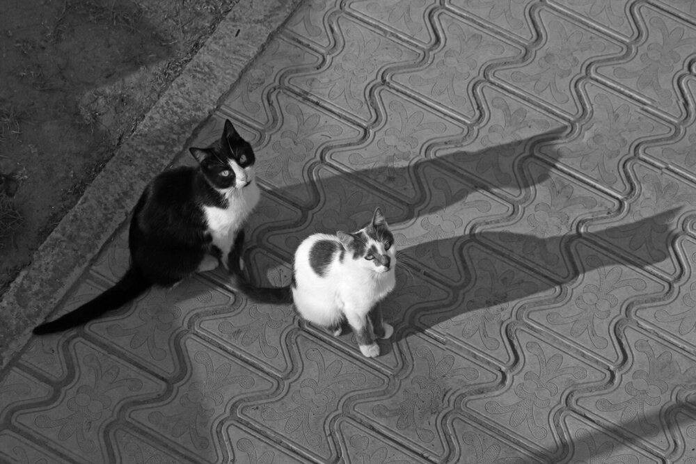 Photograph by Ольга Алёшина
