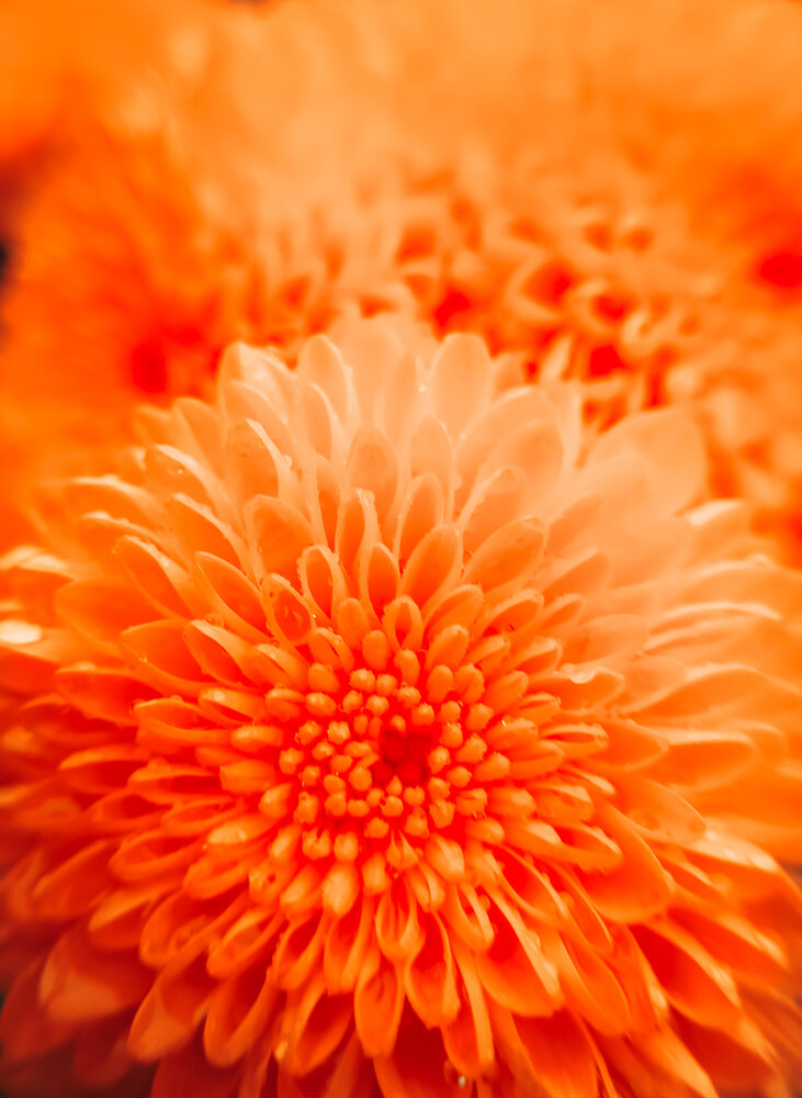 Photograph by Ольга Кунакова