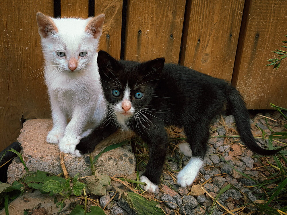 Photograph by Лолита Богачева