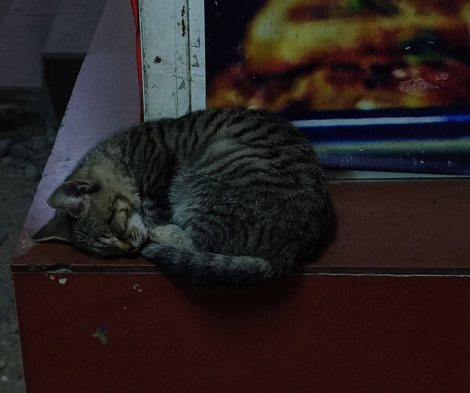 Photo #14034945