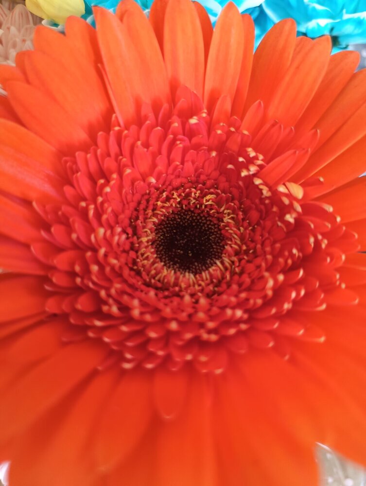 Photograph by Елена Александрова