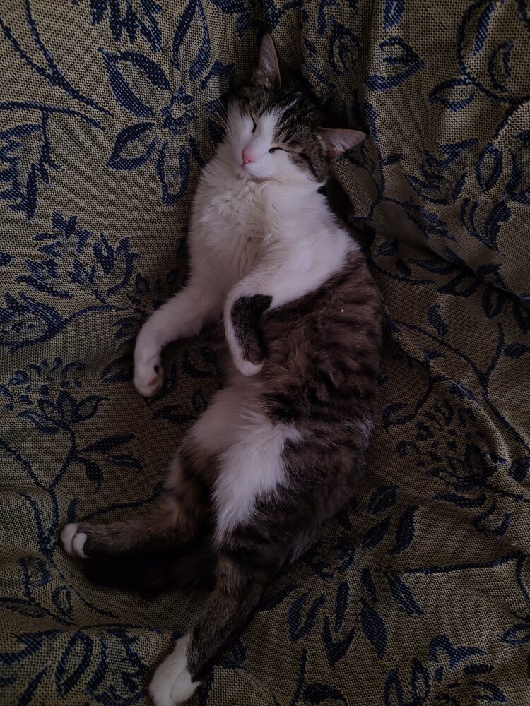 Photograph by Ажар
