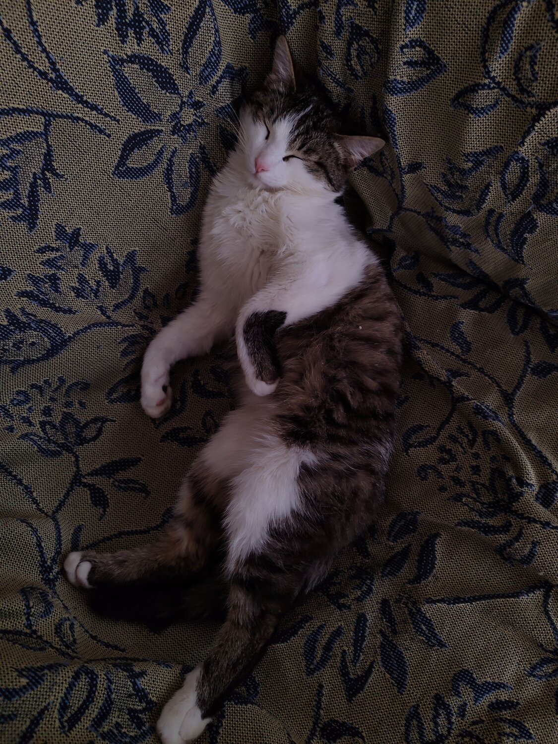Photo #14034947