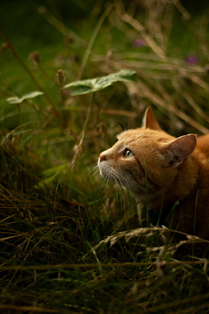 Photograph by Amy McLauchlan