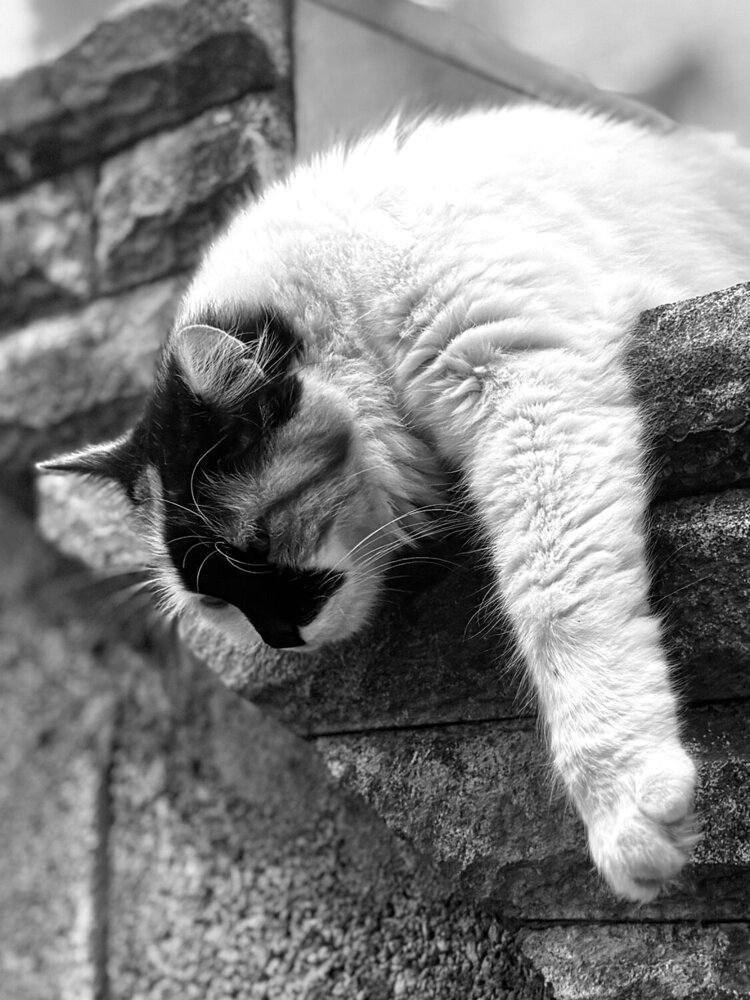 Photograph by Светлана Поляничева