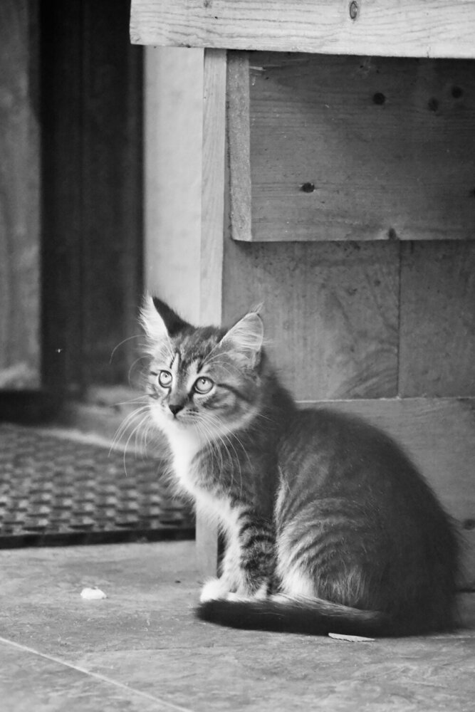 Photograph by Светлана Поляничева