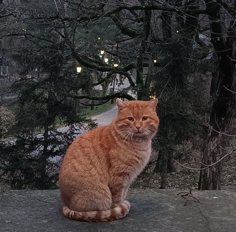 Photograph by Елена Александрова