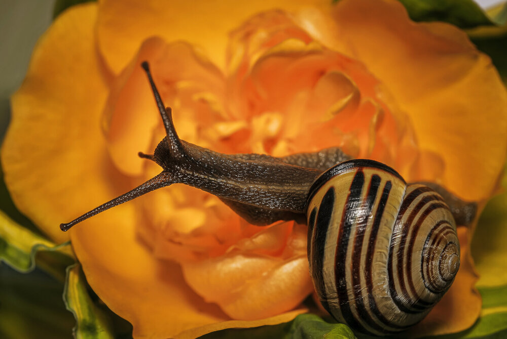 Photograph by Щирова Александра
