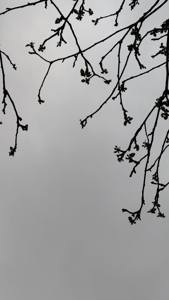Photograph by Мария Козлова
