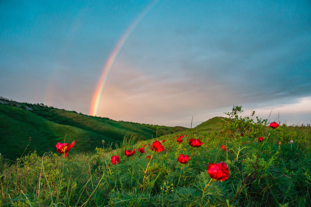Photograph by Саша Козырев