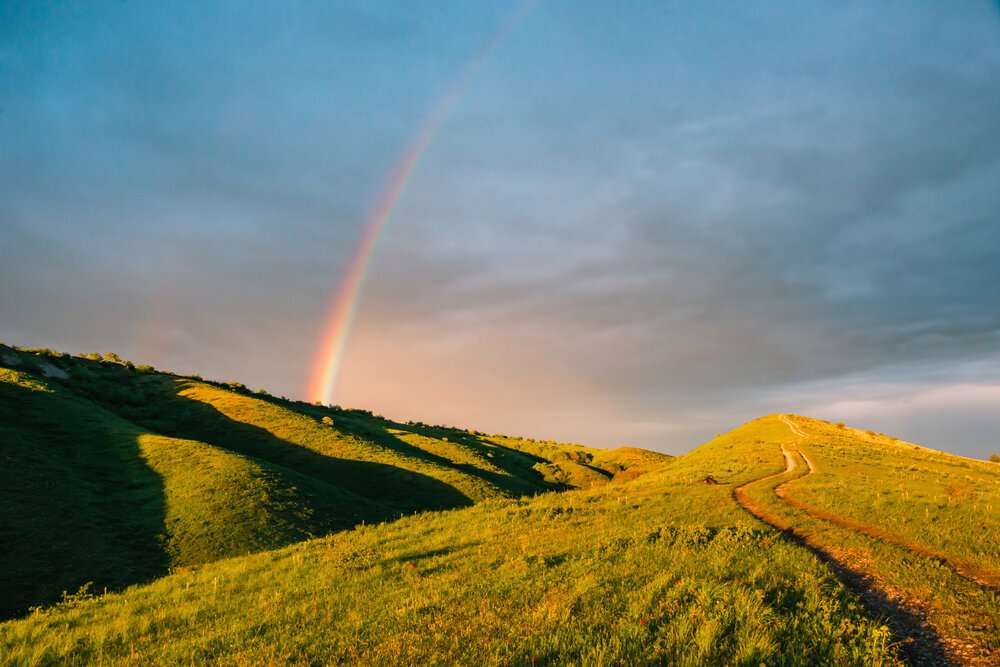 Photograph by Саша Козырев