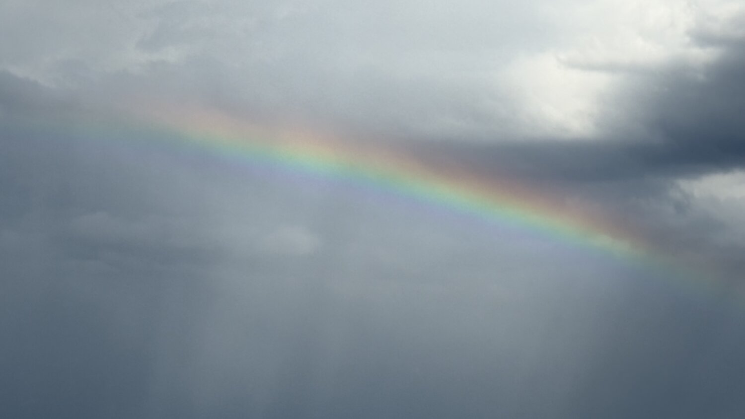 Photo #14035038