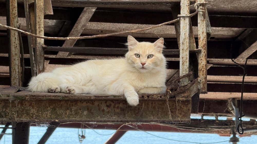 Photograph by Элеонора Бульс
