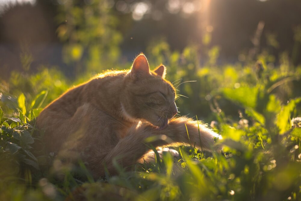 Photograph by Хабаров Сергей