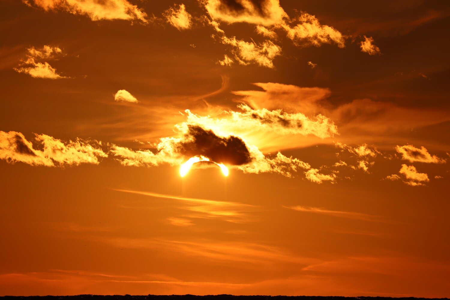 Photo #14035097