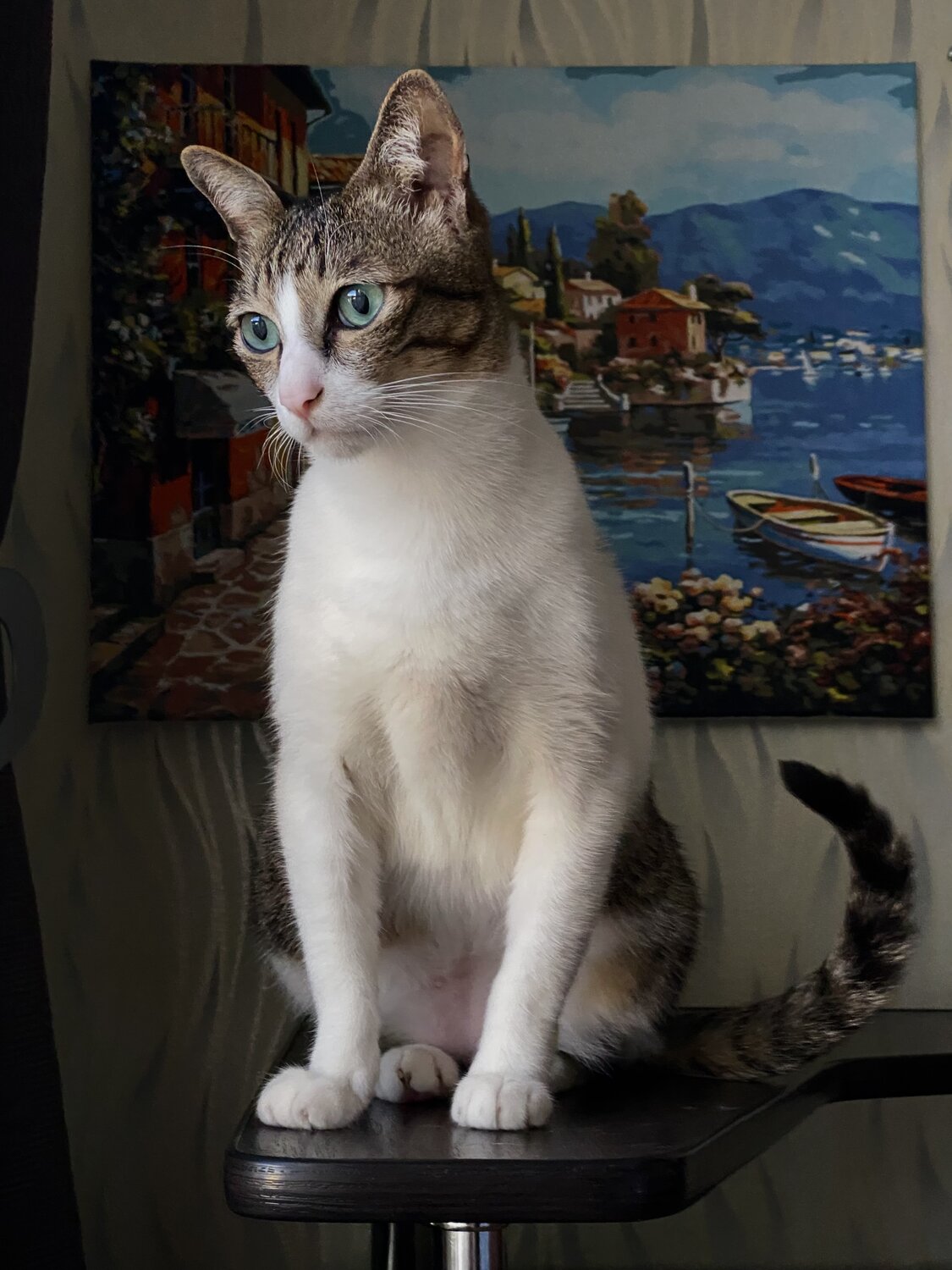 Photo #14035098