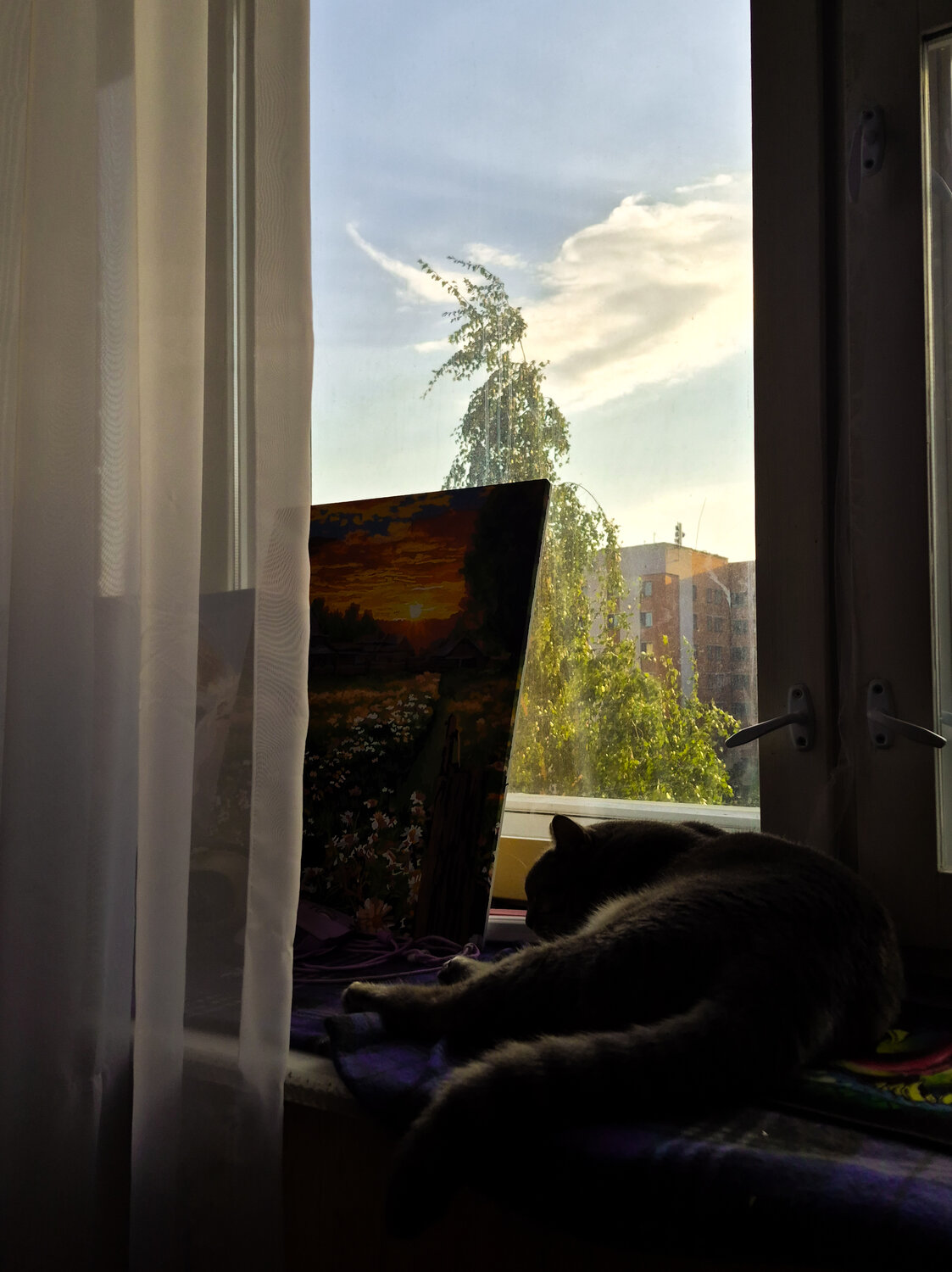 Photo #14035141