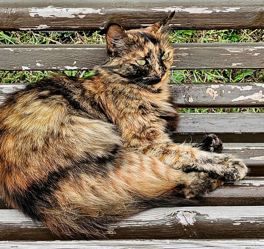 Photograph by Людмила Локтионова