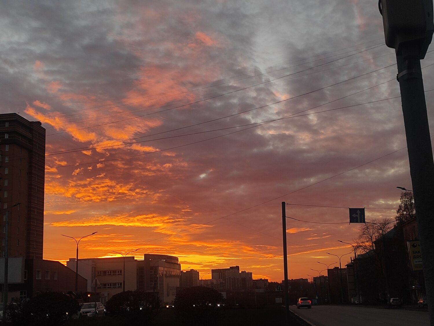Photo #14035167