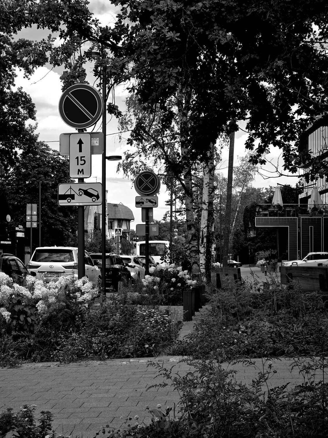 Photo #14035189