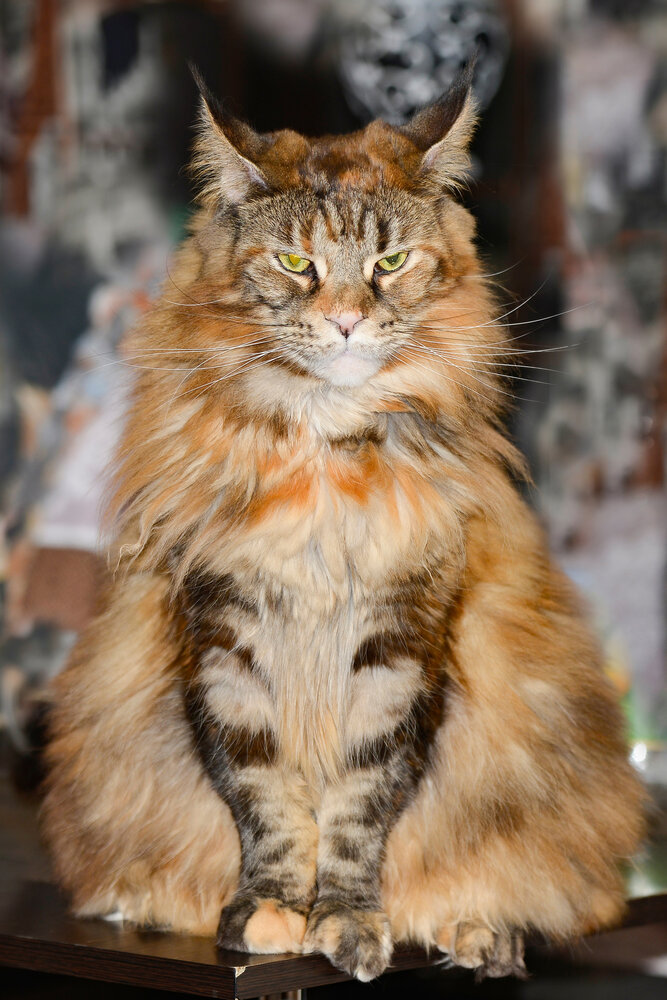 Photograph by Юрий Бичеров