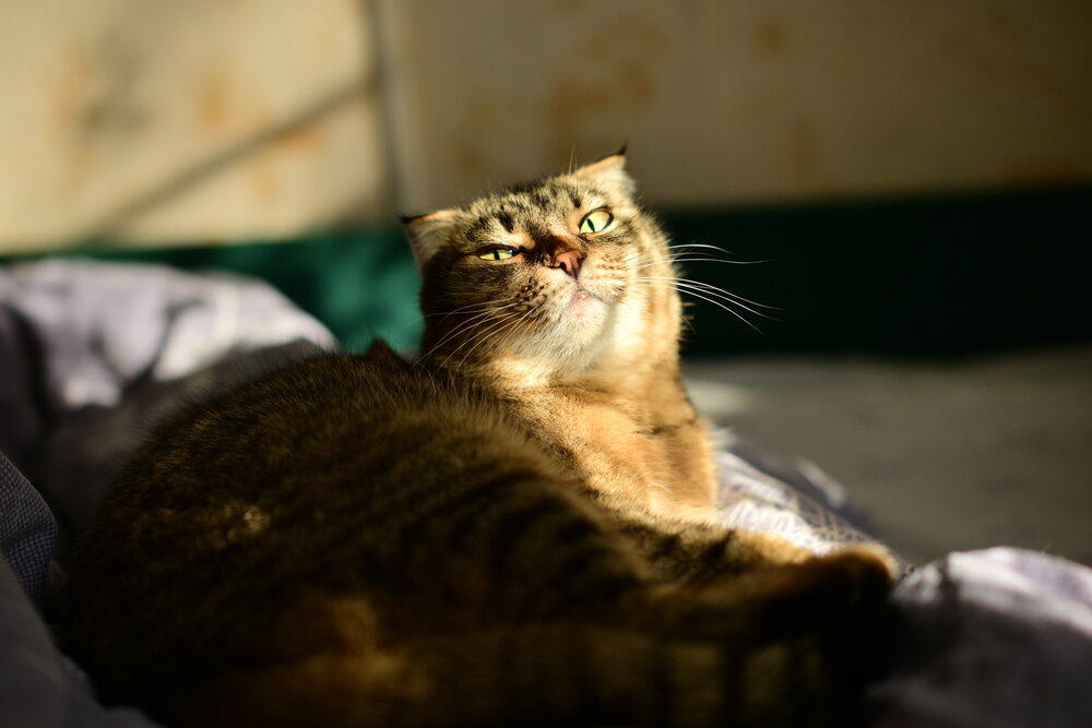 Photograph by Владислав Левашов